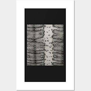 Photographic Image of Snake skin in Black and White Posters and Art